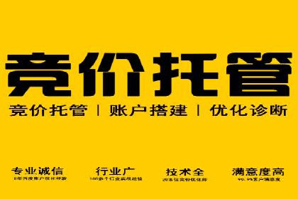 Sem优化公司案例：优化方案定制服务